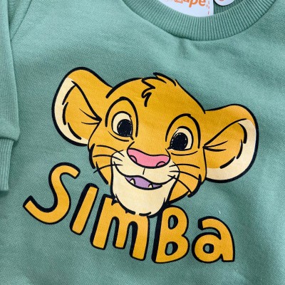  Conj. Casaco e Calça de Moletom Simba - Verde